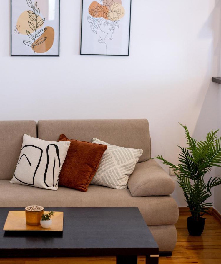 Business And Travel Lounge With Private Parking Apartment ทิมิชัวรา ภายนอก รูปภาพ